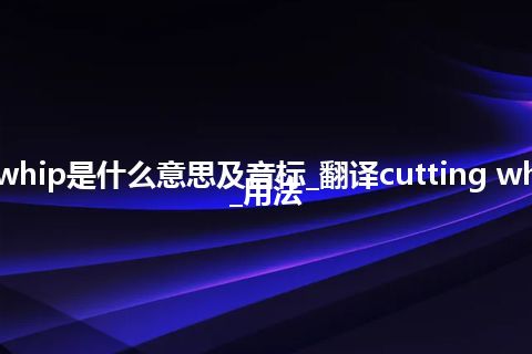 cutting whip是什么意思及音标_翻译cutting whip的意思_用法