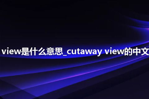 cutaway view是什么意思_cutaway view的中文意思_用法