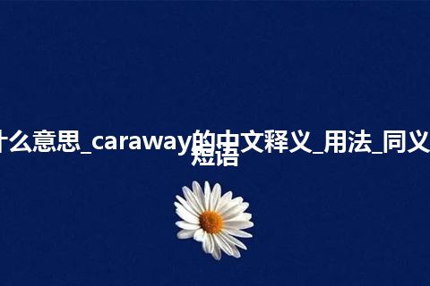 caraway是什么意思_caraway的中文释义_用法_同义词_例句_英语短语