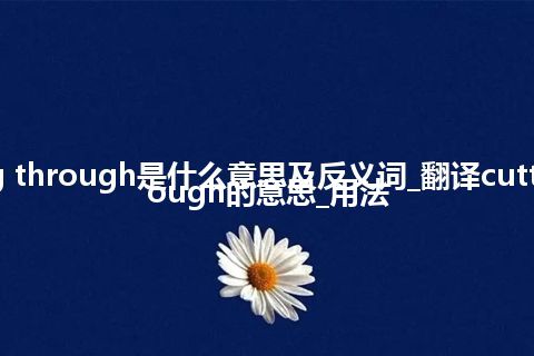 cutting through是什么意思及反义词_翻译cutting through的意思_用法