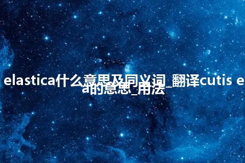 cutis elastica什么意思及同义词_翻译cutis elastica的意思_用法