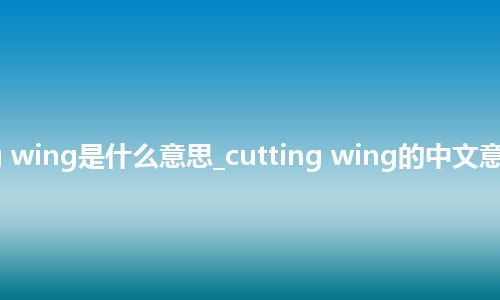 cutting wing是什么意思_cutting wing的中文意思_用法