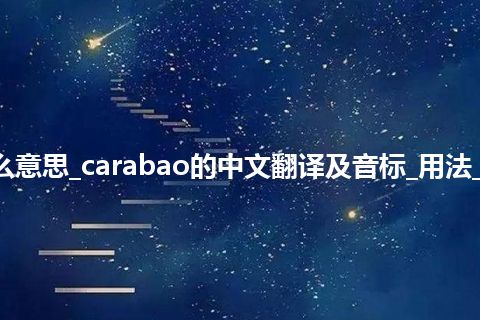 carabao是什么意思_carabao的中文翻译及音标_用法_例句_英语短语