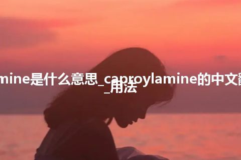 caproylamine是什么意思_caproylamine的中文翻译及用法_用法