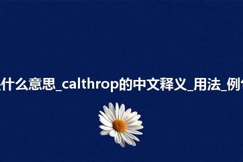 calthrop是什么意思_calthrop的中文释义_用法_例句_英语短语