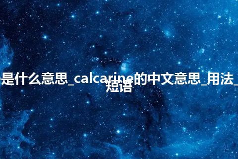 calcarine是什么意思_calcarine的中文意思_用法_例句_英语短语