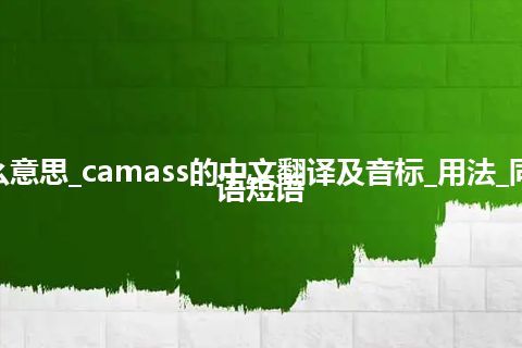 camass是什么意思_camass的中文翻译及音标_用法_同义词_例句_英语短语