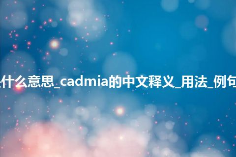 cadmia是什么意思_cadmia的中文释义_用法_例句_英语短语