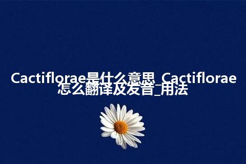 Cactiflorae是什么意思_Cactiflorae怎么翻译及发音_用法