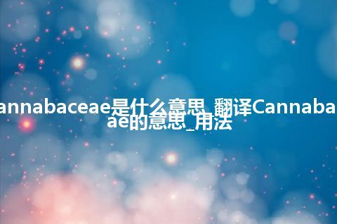 Cannabaceae是什么意思_翻译Cannabaceae的意思_用法