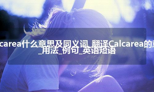 Calcarea什么意思及同义词_翻译Calcarea的意思_用法_例句_英语短语