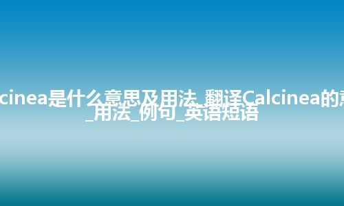 Calcinea是什么意思及用法_翻译Calcinea的意思_用法_例句_英语短语