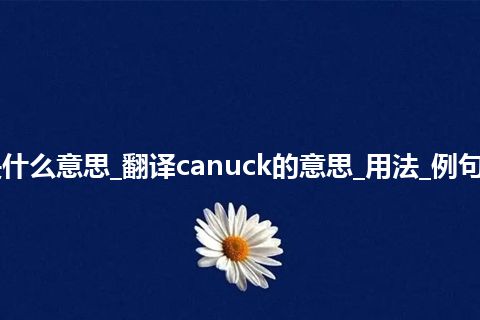 canuck是什么意思_翻译canuck的意思_用法_例句_英语短语