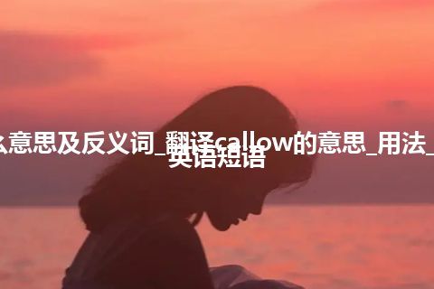 callow是什么意思及反义词_翻译callow的意思_用法_同义词_例句_英语短语