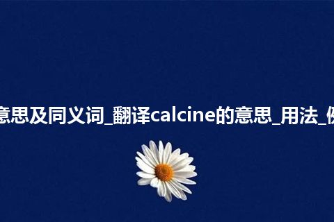 calcine什么意思及同义词_翻译calcine的意思_用法_例句_英语短语