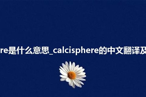 calcisphere是什么意思_calcisphere的中文翻译及用法_用法