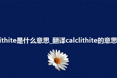 calclithite是什么意思_翻译calclithite的意思_用法