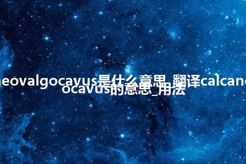 calcaneovalgocavus是什么意思_翻译calcaneovalgocavus的意思_用法