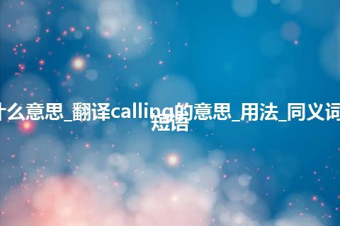 calling是什么意思_翻译calling的意思_用法_同义词_例句_英语短语