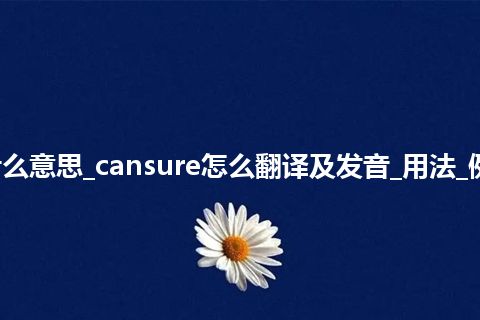 cansure是什么意思_cansure怎么翻译及发音_用法_例句_英语短语