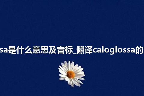 caloglossa是什么意思及音标_翻译caloglossa的意思_用法