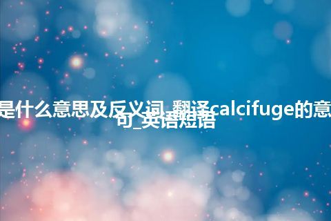 calcifuge是什么意思及反义词_翻译calcifuge的意思_用法_例句_英语短语