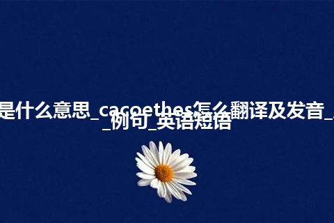 cacoethes是什么意思_cacoethes怎么翻译及发音_用法_同义词_例句_英语短语