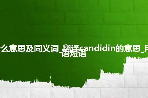 candidin什么意思及同义词_翻译candidin的意思_用法_例句_英语短语