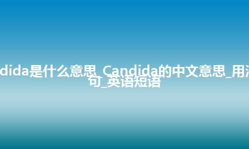 Candida是什么意思_Candida的中文意思_用法_例句_英语短语