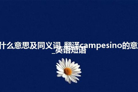 campesino什么意思及同义词_翻译campesino的意思_用法_例句_英语短语