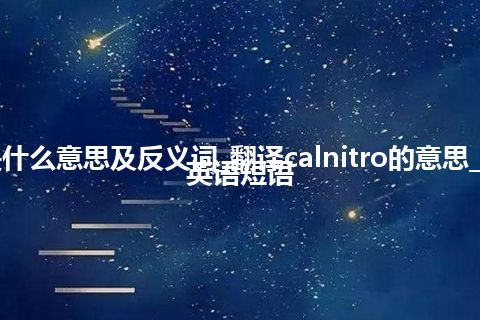 calnitro是什么意思及反义词_翻译calnitro的意思_用法_例句_英语短语