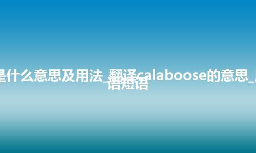 calaboose是什么意思及用法_翻译calaboose的意思_用法_例句_英语短语