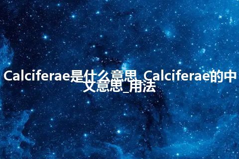 Calciferae是什么意思_Calciferae的中文意思_用法