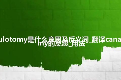 canaliculotomy是什么意思及反义词_翻译canaliculotomy的意思_用法