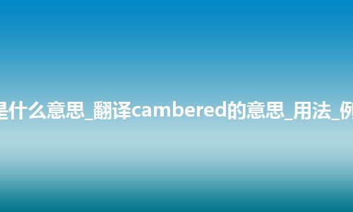 cambered是什么意思_翻译cambered的意思_用法_例句_英语短语