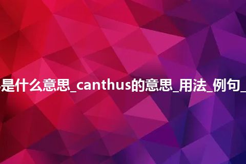 canthus是什么意思_canthus的意思_用法_例句_英语短语