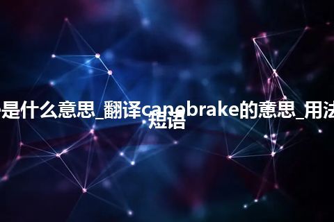 canebrake是什么意思_翻译canebrake的意思_用法_例句_英语短语