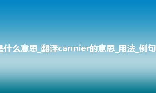 cannier是什么意思_翻译cannier的意思_用法_例句_英语短语