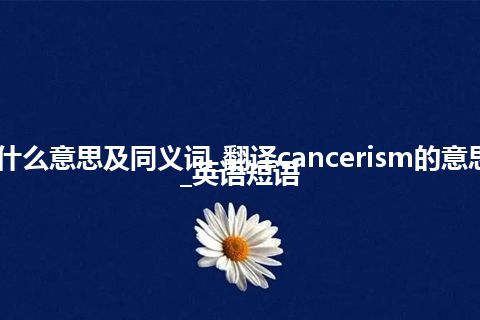 cancerism什么意思及同义词_翻译cancerism的意思_用法_例句_英语短语