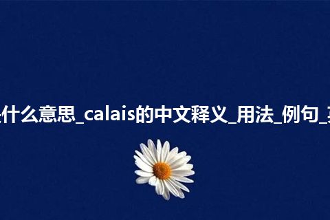 calais是什么意思_calais的中文释义_用法_例句_英语短语