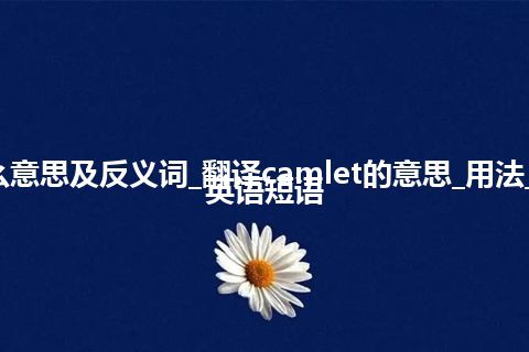 camlet是什么意思及反义词_翻译camlet的意思_用法_同义词_例句_英语短语