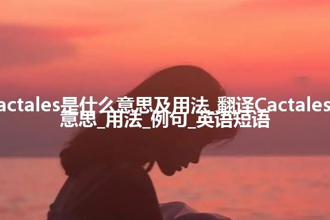 Cactales是什么意思及用法_翻译Cactales的意思_用法_例句_英语短语