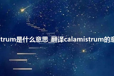 calamistrum是什么意思_翻译calamistrum的意思_用法