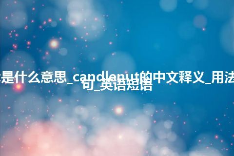 candlenut是什么意思_candlenut的中文释义_用法_同义词_例句_英语短语