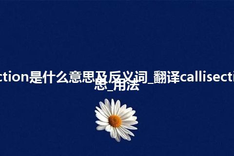 callisection是什么意思及反义词_翻译callisection的意思_用法