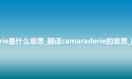 camaraderie是什么意思_翻译camaraderie的意思_用法_同义词