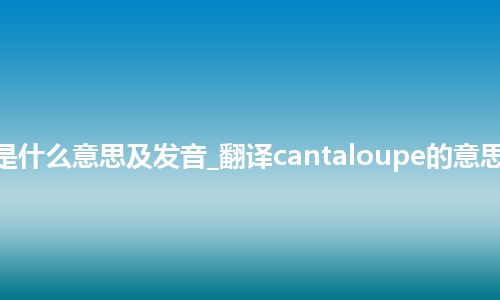 cantaloupe是什么意思及发音_翻译cantaloupe的意思_用法_同义词