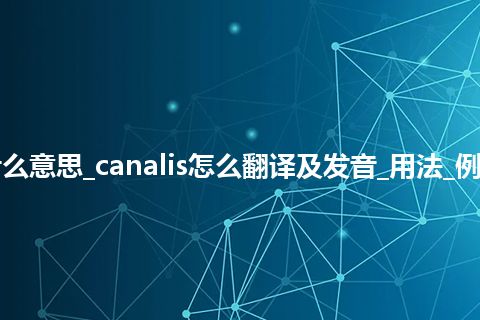 canalis是什么意思_canalis怎么翻译及发音_用法_例句_英语短语