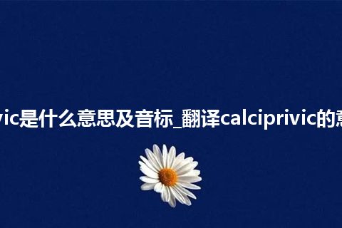 calciprivic是什么意思及音标_翻译calciprivic的意思_用法