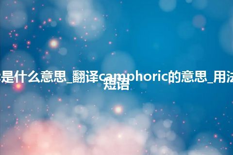 camphoric是什么意思_翻译camphoric的意思_用法_例句_英语短语